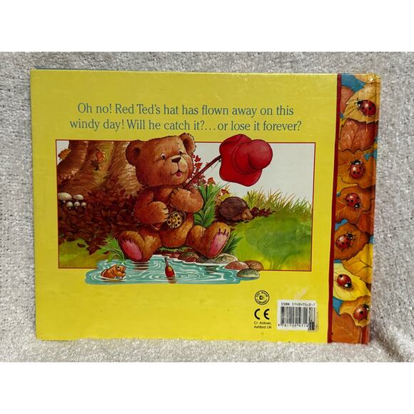 The Magical World of Teddies Catch That Hat Pop Up Book 2002 - Picture 2 of 7